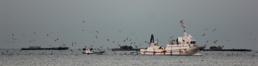Exposé d’Amos sur la pêche
