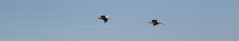 Une étoile dans le ciel