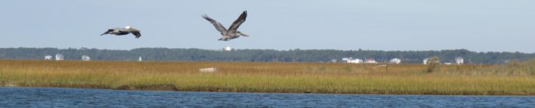 Intercoastal Waterways