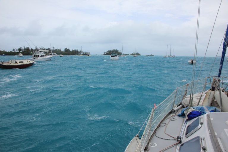 It's windy in Mangrove Bay