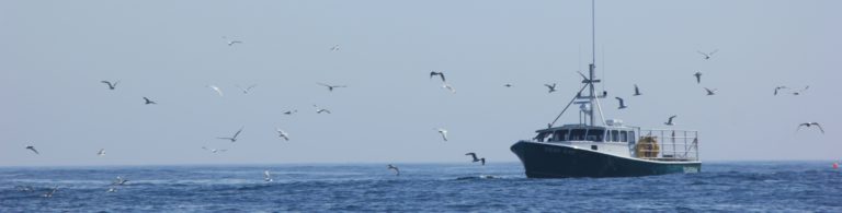 Arrivée aux Etats-Unis