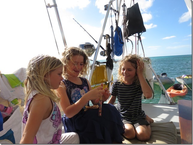 IMG_2991_thumb_thumb