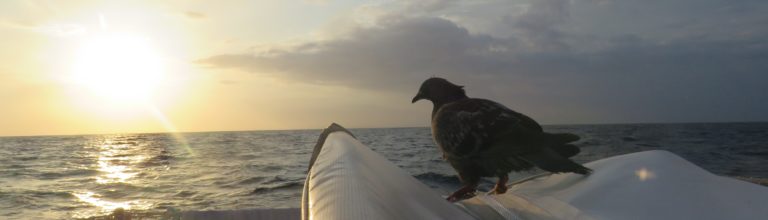 On the way to Curaçao