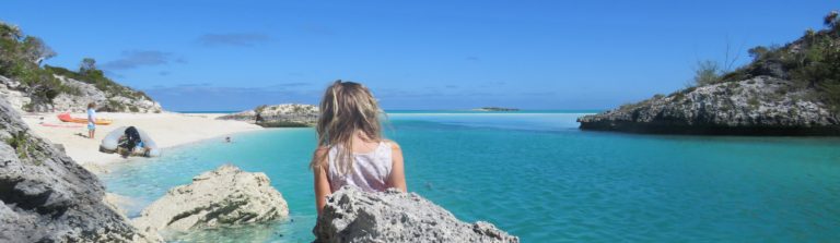 A travers la mangrove