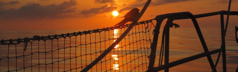 On the way back to the Bahamas