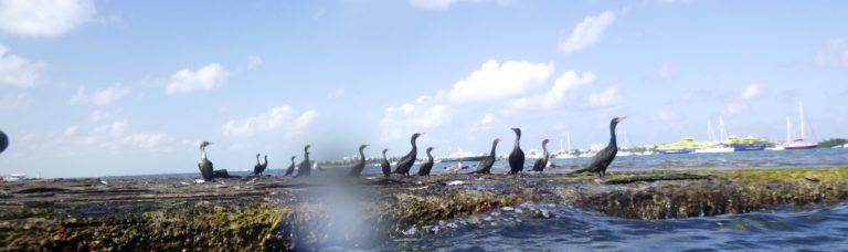 Crossing the Yucatan Channel to Mexico